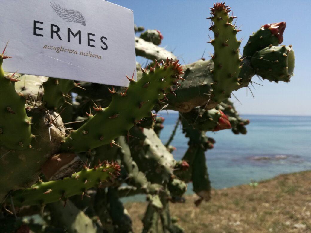 לינה וארוחת בוקר אבולה Ermes מראה חיצוני תמונה